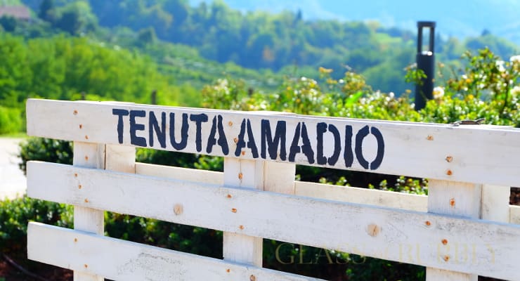 A_visit_to_Tenuta_Amadio_Asolo A_visit_to_Tenuta_Amadio_Asolo
