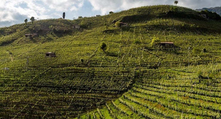 Cartizze_Hill_-_Photo_Mattia_Mionetto_-_Copia_featured Cartizze_Hill_-_Photo_Mattia_Mionetto_-_Copia_featured
