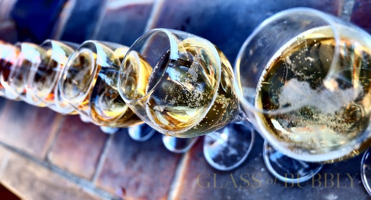 line_up_of_champagne_glasses line_up_of_champagne_glasses