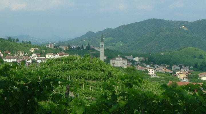 Why Prosecco DOC is not a good business for small producers