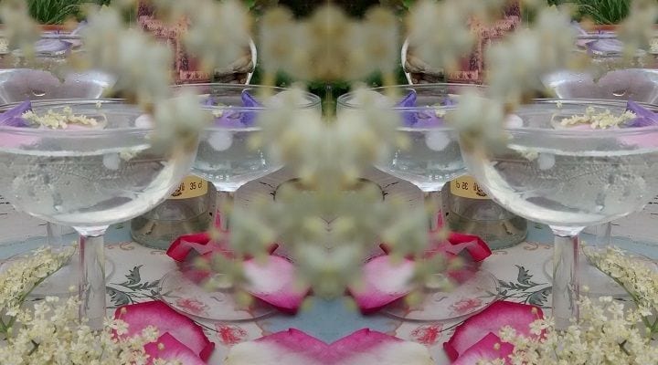 Elderflower Bubbly